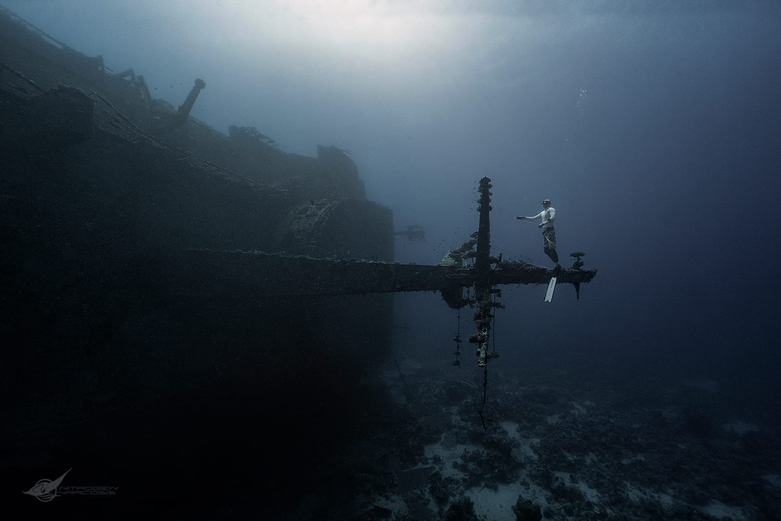 Underwater gallery photo